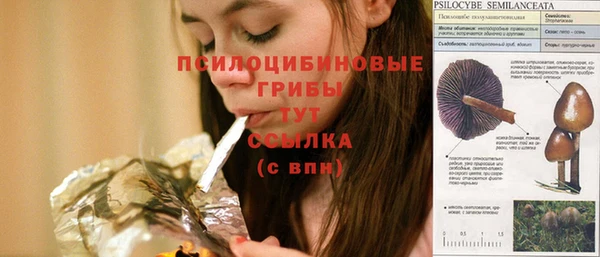 apvp Белоозёрский